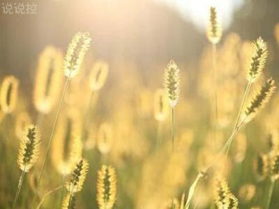 试谈马克思主义视角下的金融危机根源