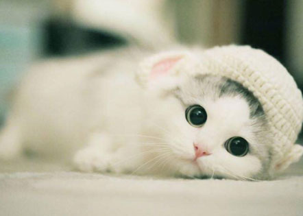 最新月考心得体会作文800字(十八篇)