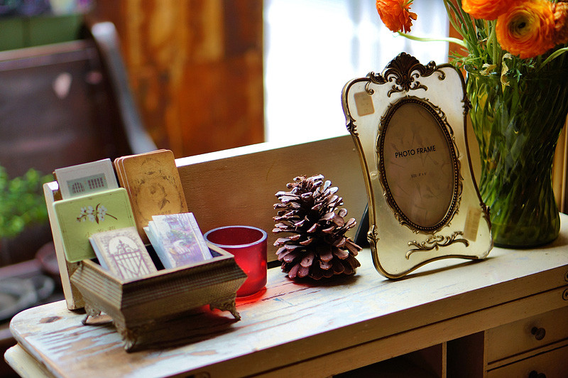 最新仙人掌小学作文150字(三篇)