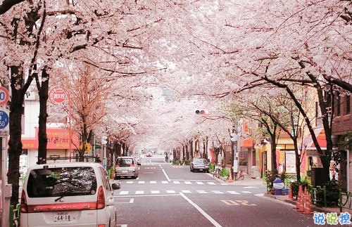 超市用工协议范文