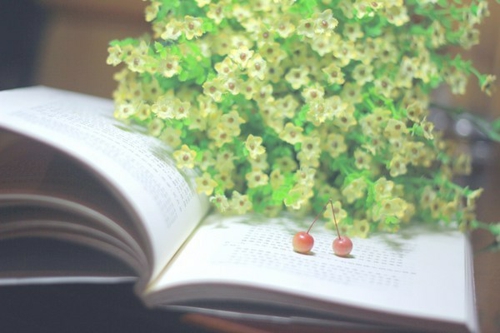 2024年财务年终总结及计划 财务年度总结及工作计划(四篇)