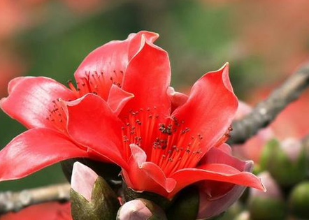 毕业季英语作文范文小学50篇