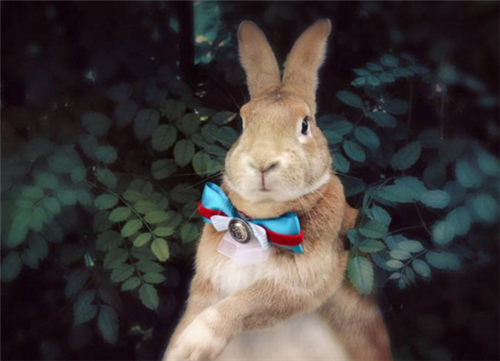 初中教师个人年度工作总结最新精辟语句