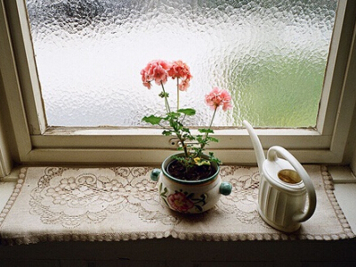 书信作文范文800字高中(优选14篇)