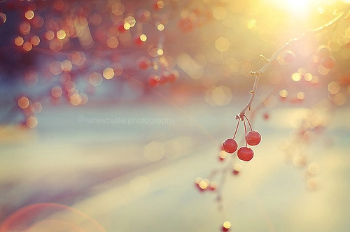 小学生我得到了表扬450字作文5篇