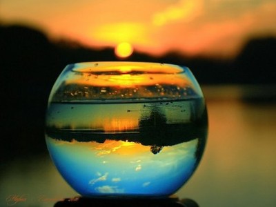 医疗责任保险合同精选范本