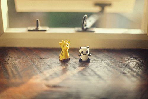 2024年动物观察日记两则 动物观察日记(通用9篇)