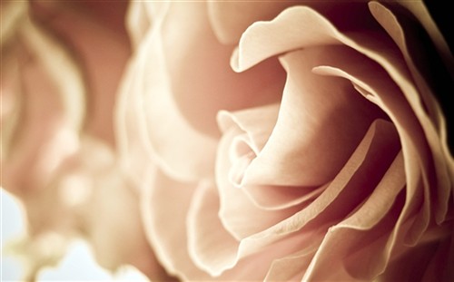 升学宴主持人致辞稿7篇范文