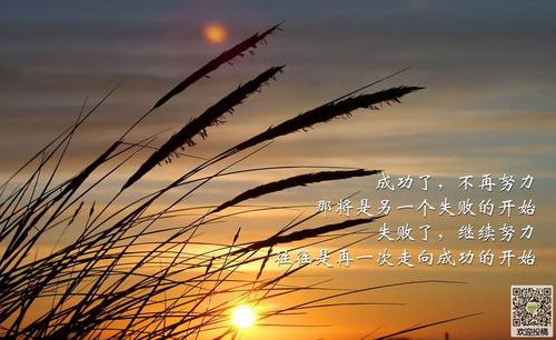 最新寝室打牌检讨书500字 寝室打牌检讨书1500字(六篇)