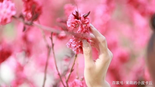 监理年终总结2024年个人范文(实用31篇)