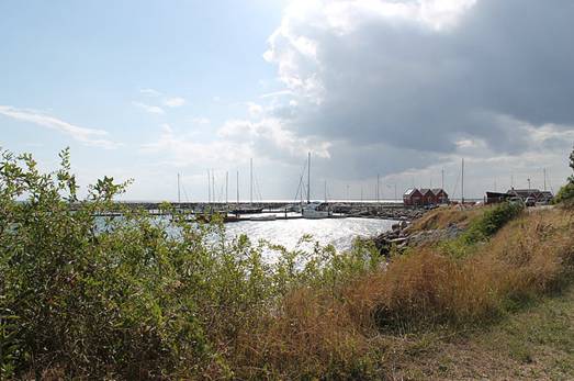 金融合同:城镇职工基本医疗保险定点零售药店服务协议文本