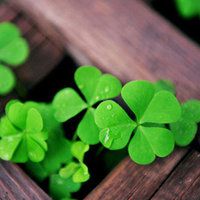 新经济：新科技革命与全球化的结合(三)