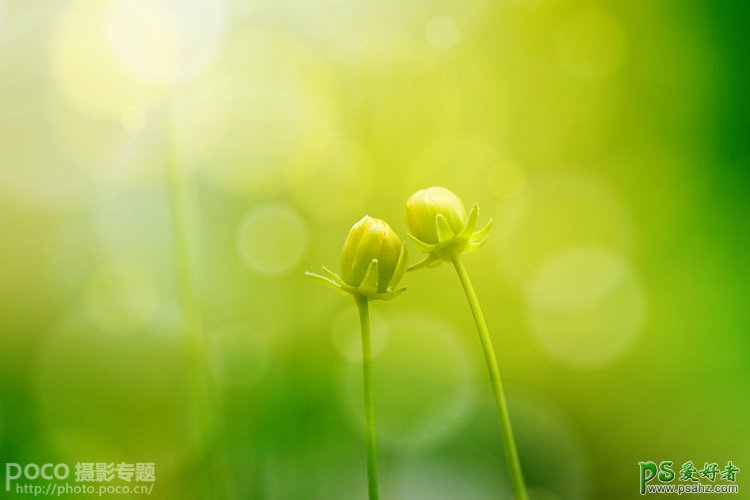 2024年工业产品采购合同(十四篇)