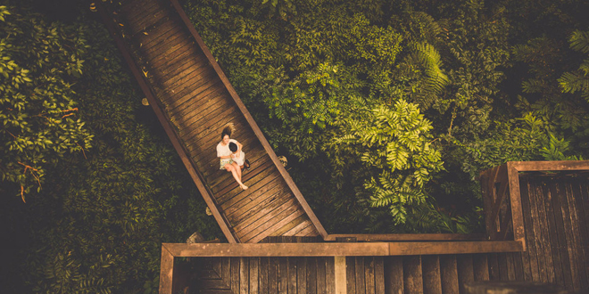 最新改写古诗作文200字 改写古诗作文500字(9篇)