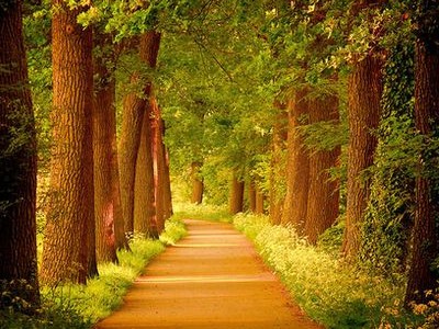 初中化学绿色实验的教学研究