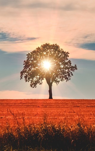 2024部队驾驶员半年总结范文