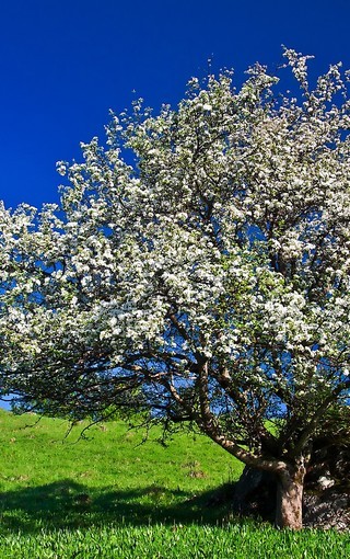 2024年《教育的理想与信念》读书心得感悟 教育的理想与信念读书心得读后感(3篇)