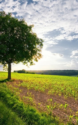 主题解放思想研讨材料医生及感悟(五篇)