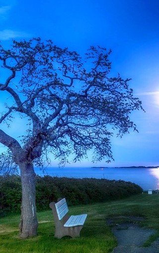 混凝土运输合同(7篇)