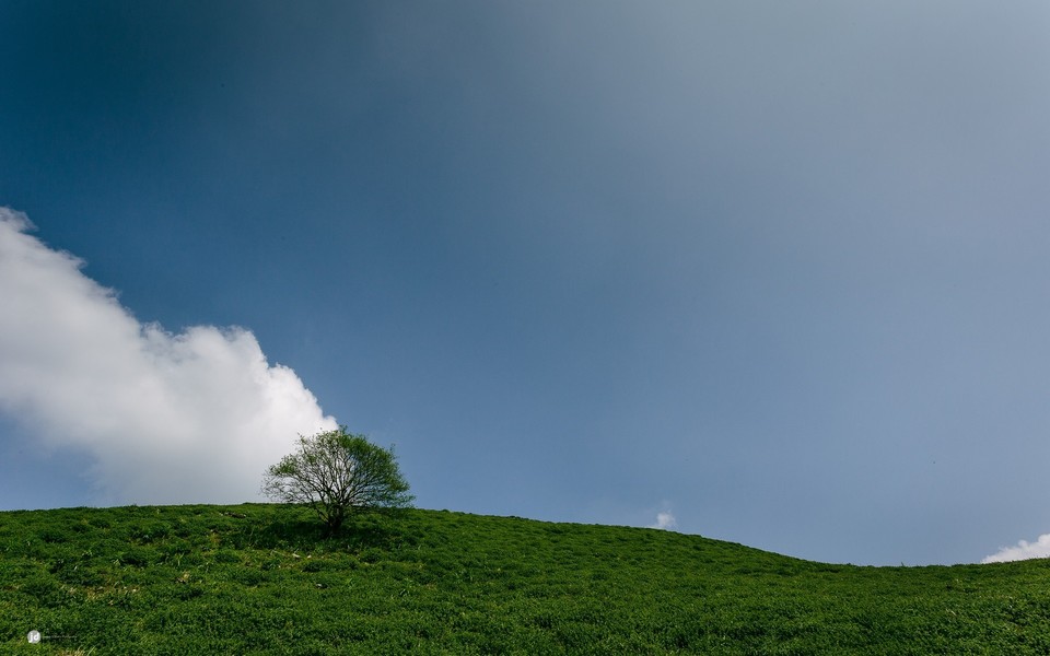 商场上班辞职报告 员工离职原因调查报告(3篇)