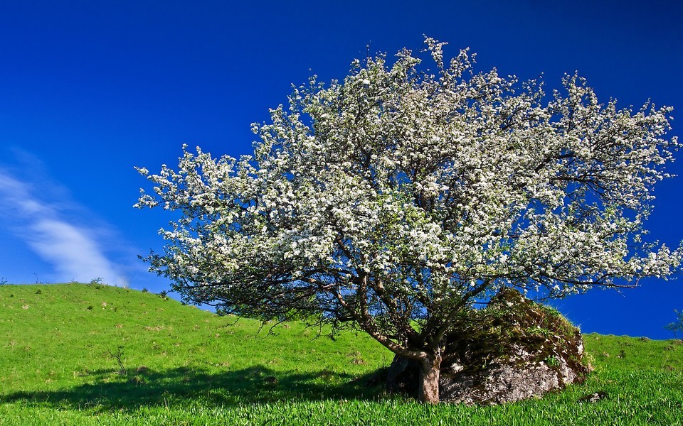 我是安全吹哨人主题征文范文精选