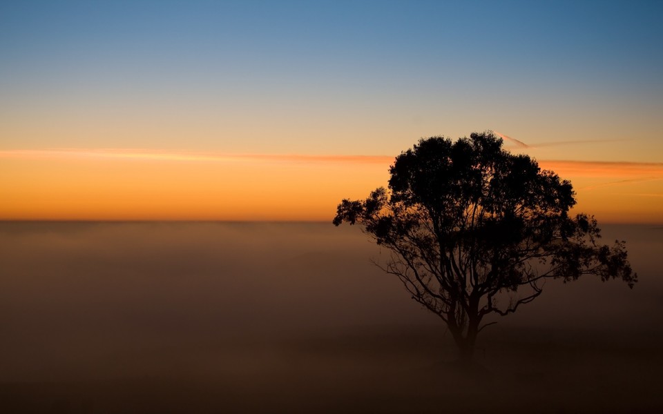 最新仓鼠饲养观察日记(优质8篇)