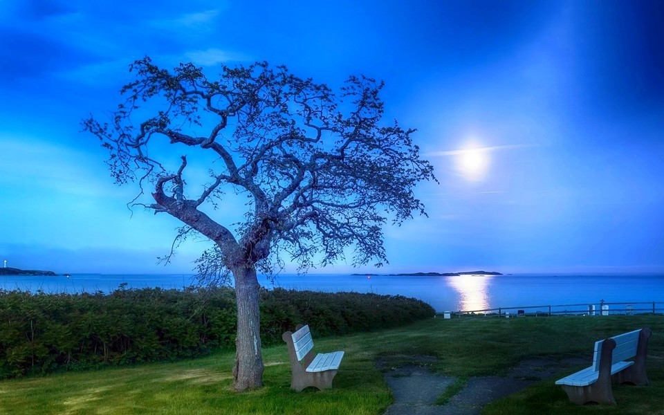 驾校演讲稿：我与蓝天共奋进