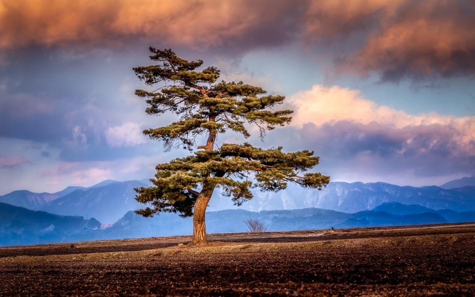 2024教育合作合同范本