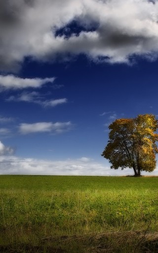 写字楼招商计划书