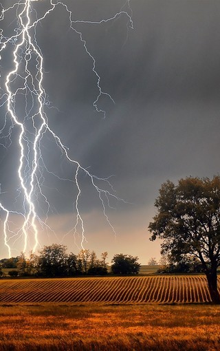 物业职员述职报告(三篇)