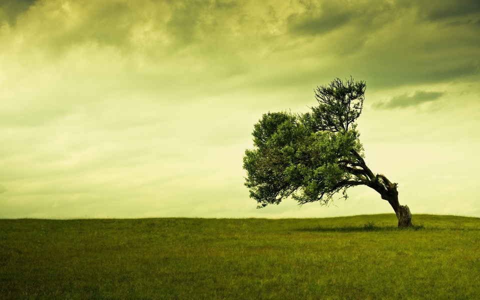 社区智慧教育论文范文(实用40篇)