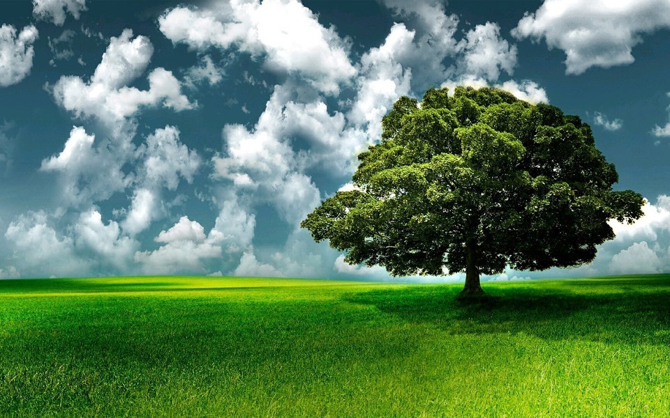 有关社区打非治违工作总结怎么写(6篇)