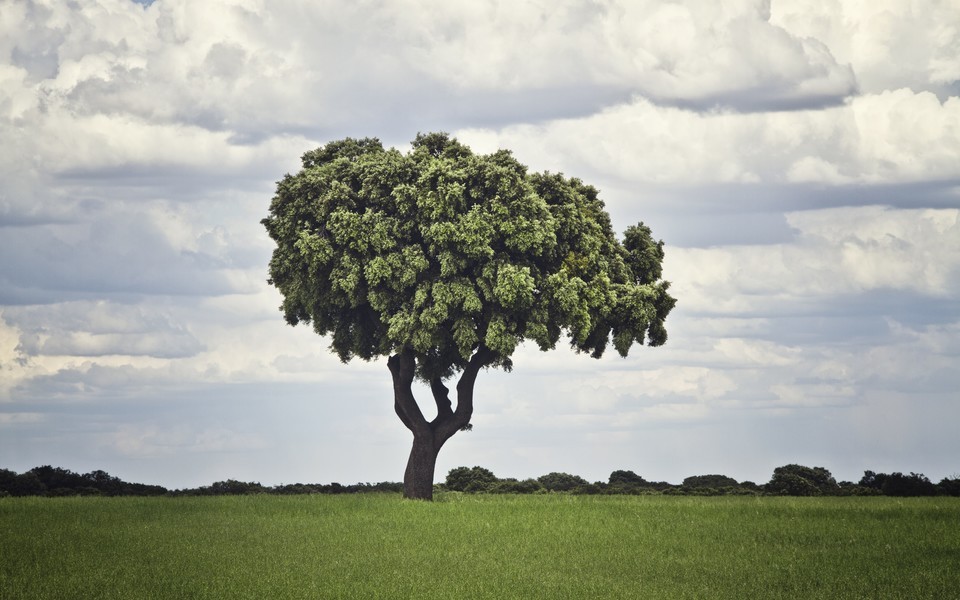 初中生的作文600字 这就是初中生的作文(3篇)