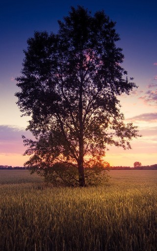 最新快乐的元旦作文350字(3篇)