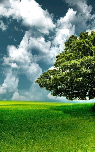 寒假生活日记150字左右(四篇)