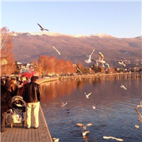 建设工程合同书(19篇)