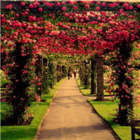 最新土方工程合同协议书(三篇)