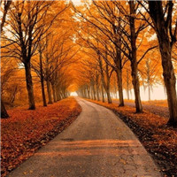 四讲四有作合格党课讲稿：“四讲四有”定位人生坐标