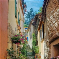 精彩的一刻初中作文800字 精彩的一刻300字(五篇)