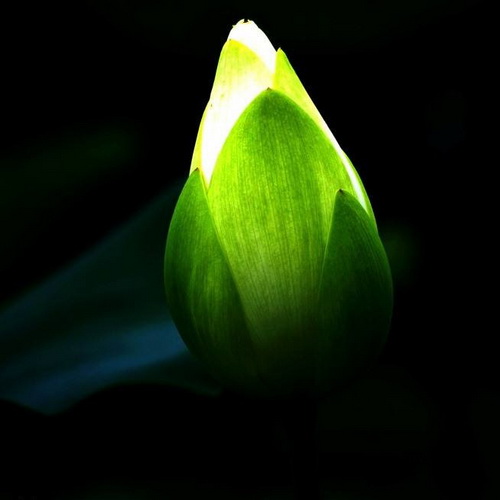 酒店装修合同书(三篇)