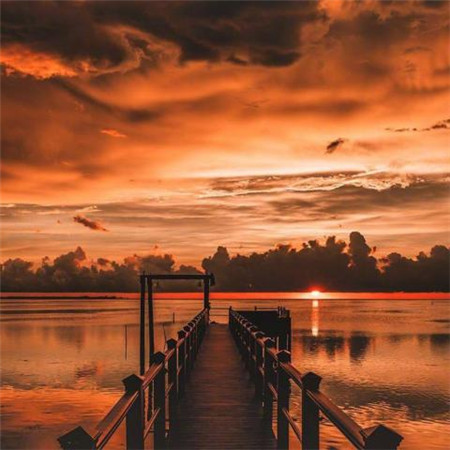 2024年招标代理合同范本