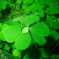 表扬信范文作文高中共11篇