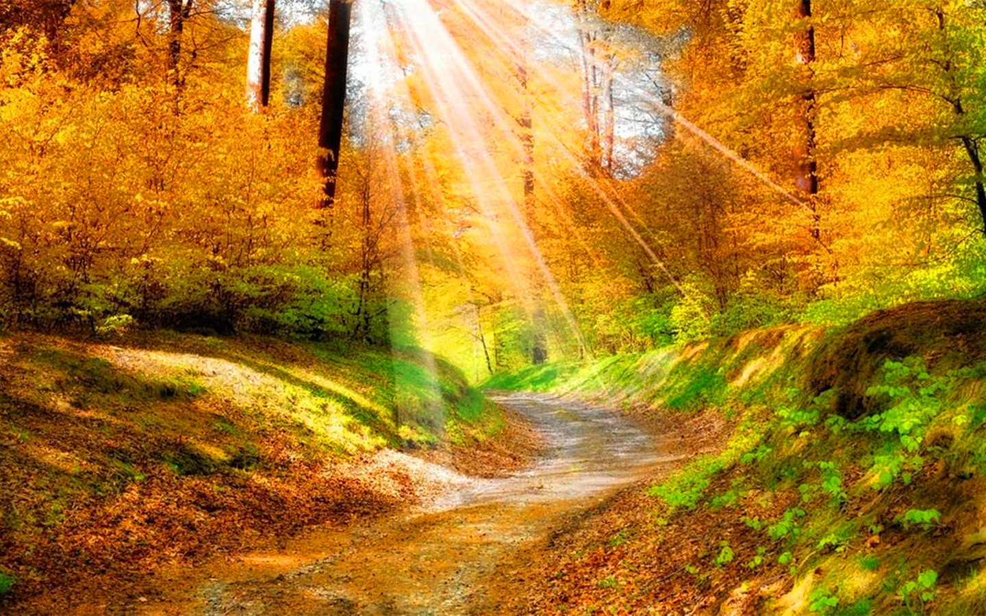 最新学校固定资产管理制度 固定资产管理制度及流程(十五篇)