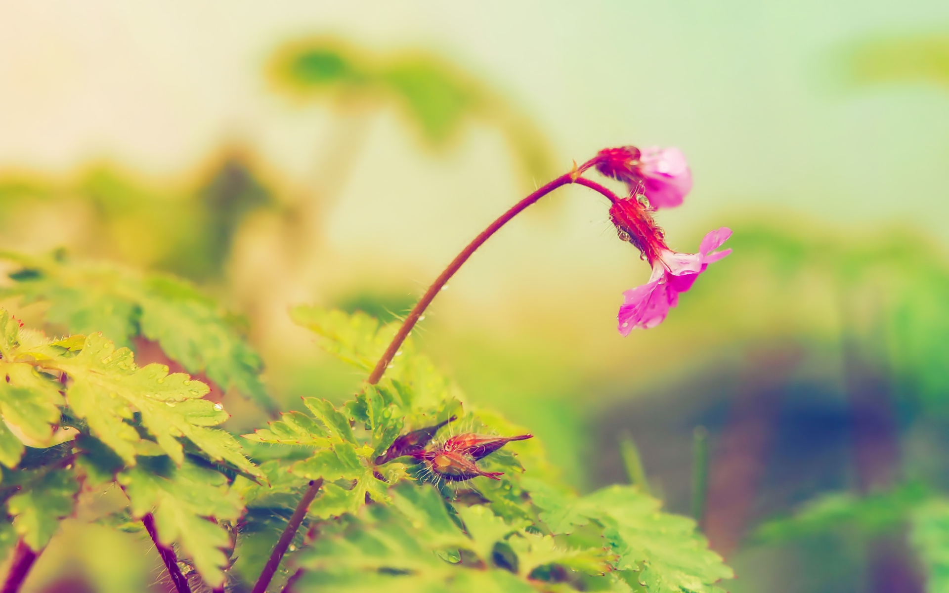 马克思主义经济学与新制度经济学的所有制理论比较研究