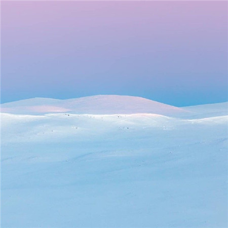 青铜葵花的读后感50字(3篇)