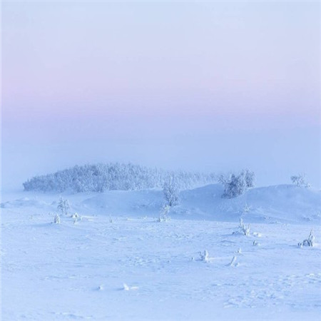 最新高三冲刺励志演讲稿 高三冲刺激励演讲稿(十四篇)