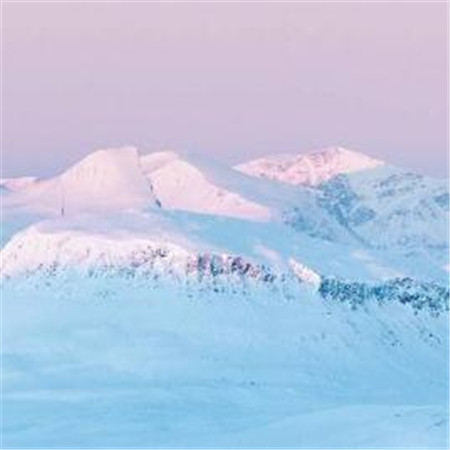 2024年初中有关端午节的作文800字左右 有关端午节的作文八百字(9篇)