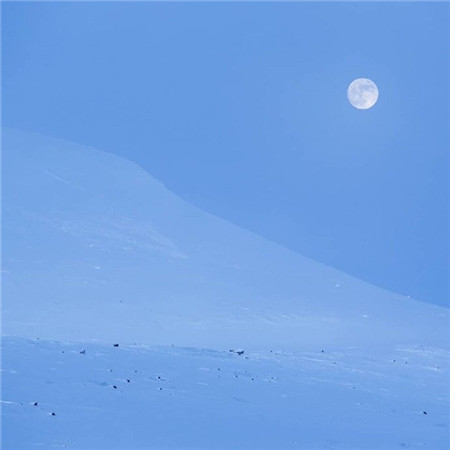 家具专卖店加盟协议书范文