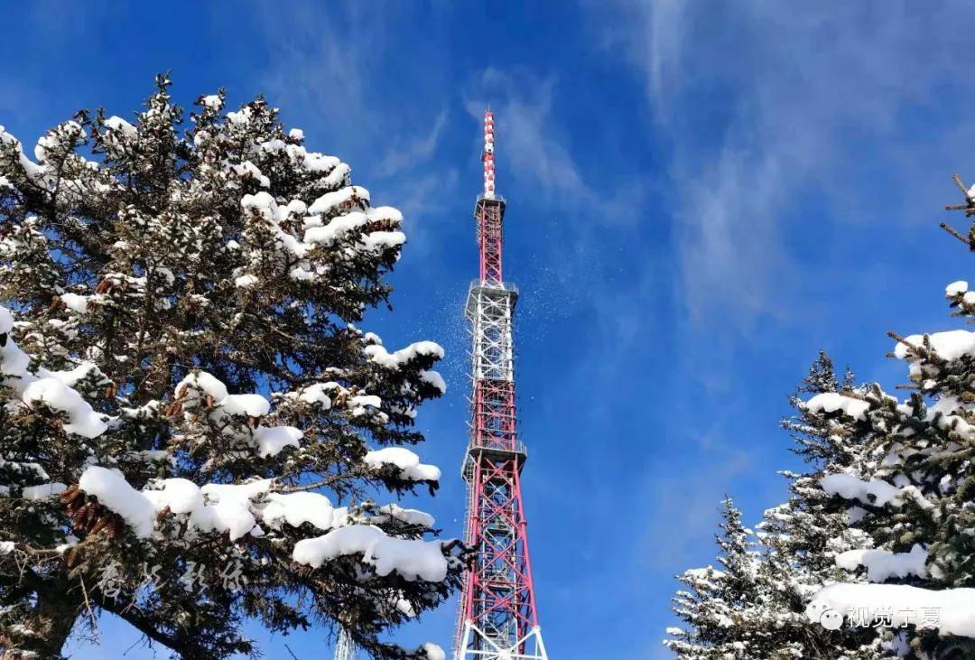 讲文明作文500字(三篇)