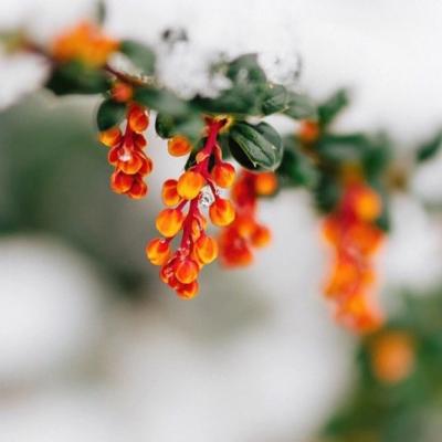 最新销售辞职信简单 销售辞职信 个人原因(十二篇)